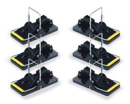 Snap-E Mouse Trap (6 Pack)