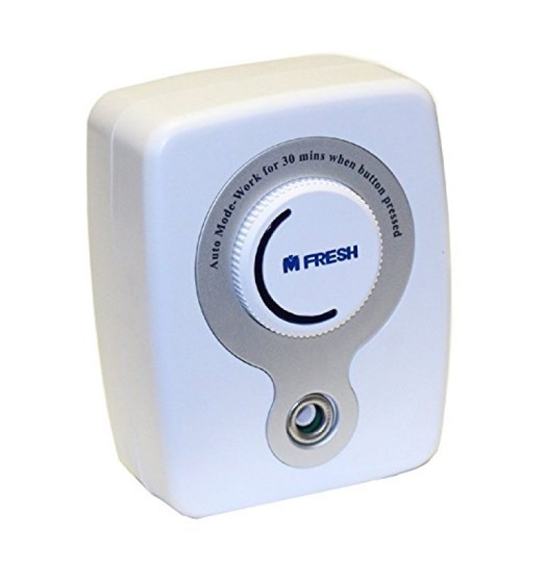 How To Get Rid Of Dead Mouse Smell Easily? Answer Is Here