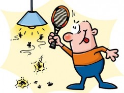 Best Mosquito Killer Reviews & Best Bug Zapper Reviews